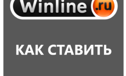 Как ставить ставки на спорт в Винлайн